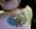 Megs tattoo