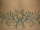 Micin tattoo