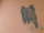 rayla tattoo
