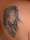 Summer tattoo