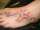 Sarah tattoo