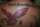 MercNyne tattoo