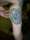 Annette tattoo