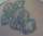 betas tattoo