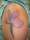 Della tattoo