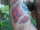 chris tattoo