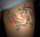 tony tattoo