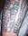 Grizz tattoo