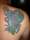 Metropolis tattoo