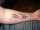 amanda tattoo