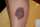 tattim tattoo