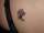 CJ&NICOLE tattoo