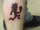 juggalo4201 tattoo