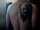 Kitty tattoo