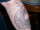 big lal tattoo