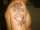 kastat tattoo