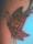 me tattoo