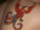 Ivey tattoo