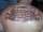 Brewer6 tattoo