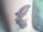 Jen tattoo