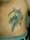 TipTopTattoosRox tattoo