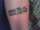 Robin tattoo