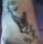 Sara tattoo