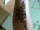 TATTOO TIM tattoo