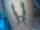 T'sa tattoo