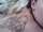 Micin tattoo