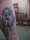 JAVIM121 tattoo