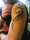 Life~N~Ink tattoo