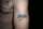 Tique tattoo