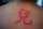 tonebone69 tattoo