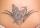Brittany tattoo