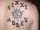 Jess tattoo