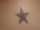 TATTOO TIM tattoo