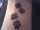 Jamie tattoo