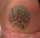 tats1027 tattoo
