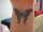 archerxue tattoo