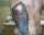 john tattoo