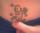 Tammy tattoo