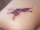 Sara tattoo