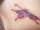 PurpleStarFly tattoo