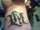 Rey Cheevas tattoo