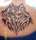 Primal tattoo