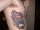 Xblackwidow20X tattoo