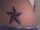 Tricia tattoo