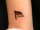 kerry tattoo