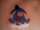 Melissa tattoo